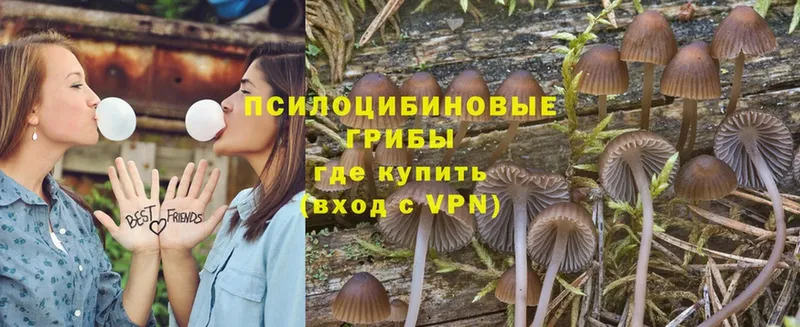 это клад  купить закладку  Полысаево  Псилоцибиновые грибы Psilocybe 